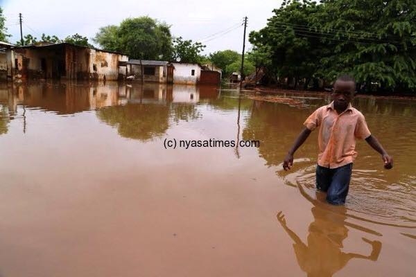 10897753_962942990402237_3843493867726059373_n