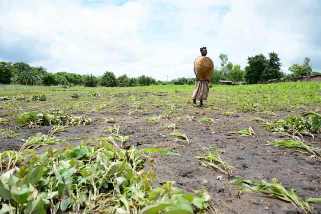 Malawi Floods