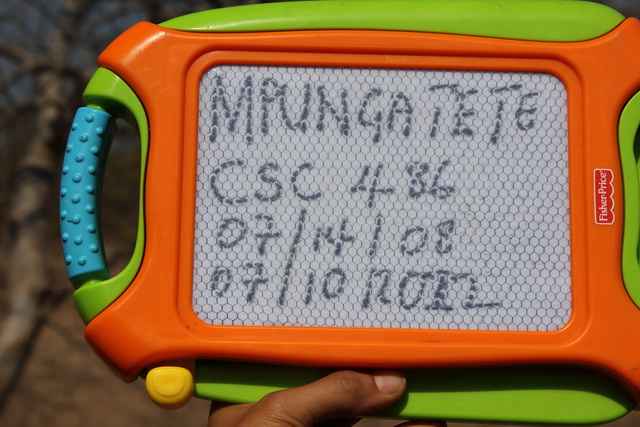 IMG_4917 Mpungatete_640w