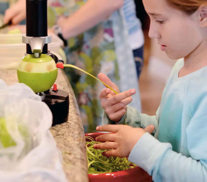 2024-11-22-Brittanys-Dream-2016-trip-gallery-1-jordynne with apples-4x